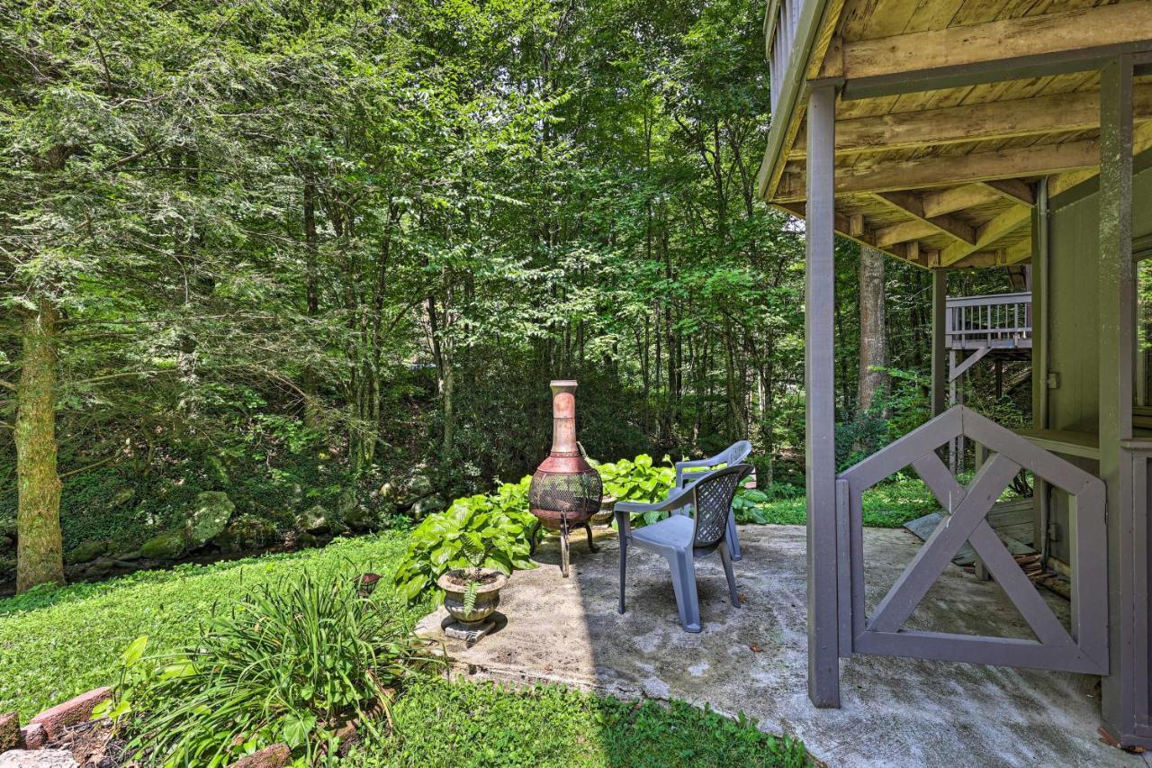Creekside Roan Mountain Cabin Walk To Trails Екстериор снимка