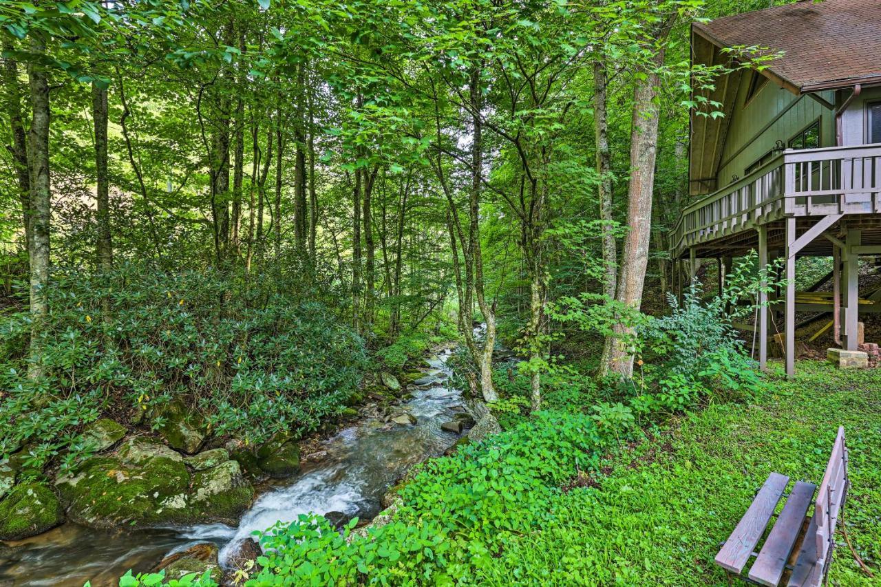 Creekside Roan Mountain Cabin Walk To Trails Екстериор снимка