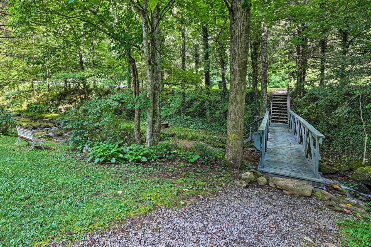 Creekside Roan Mountain Cabin Walk To Trails Екстериор снимка