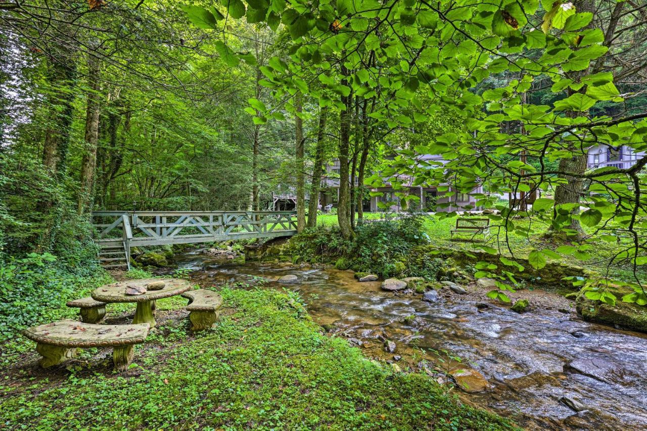Creekside Roan Mountain Cabin Walk To Trails Екстериор снимка