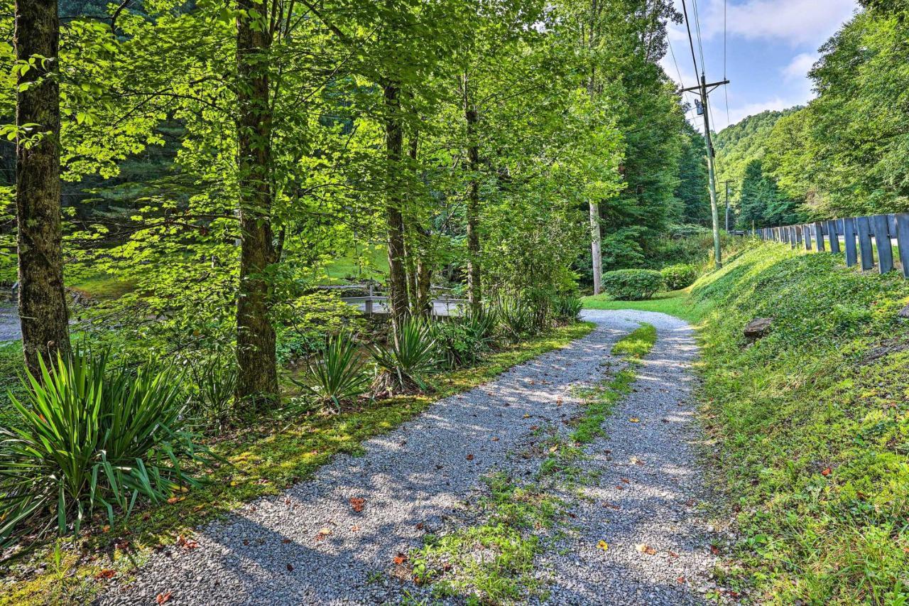 Creekside Roan Mountain Cabin Walk To Trails Екстериор снимка