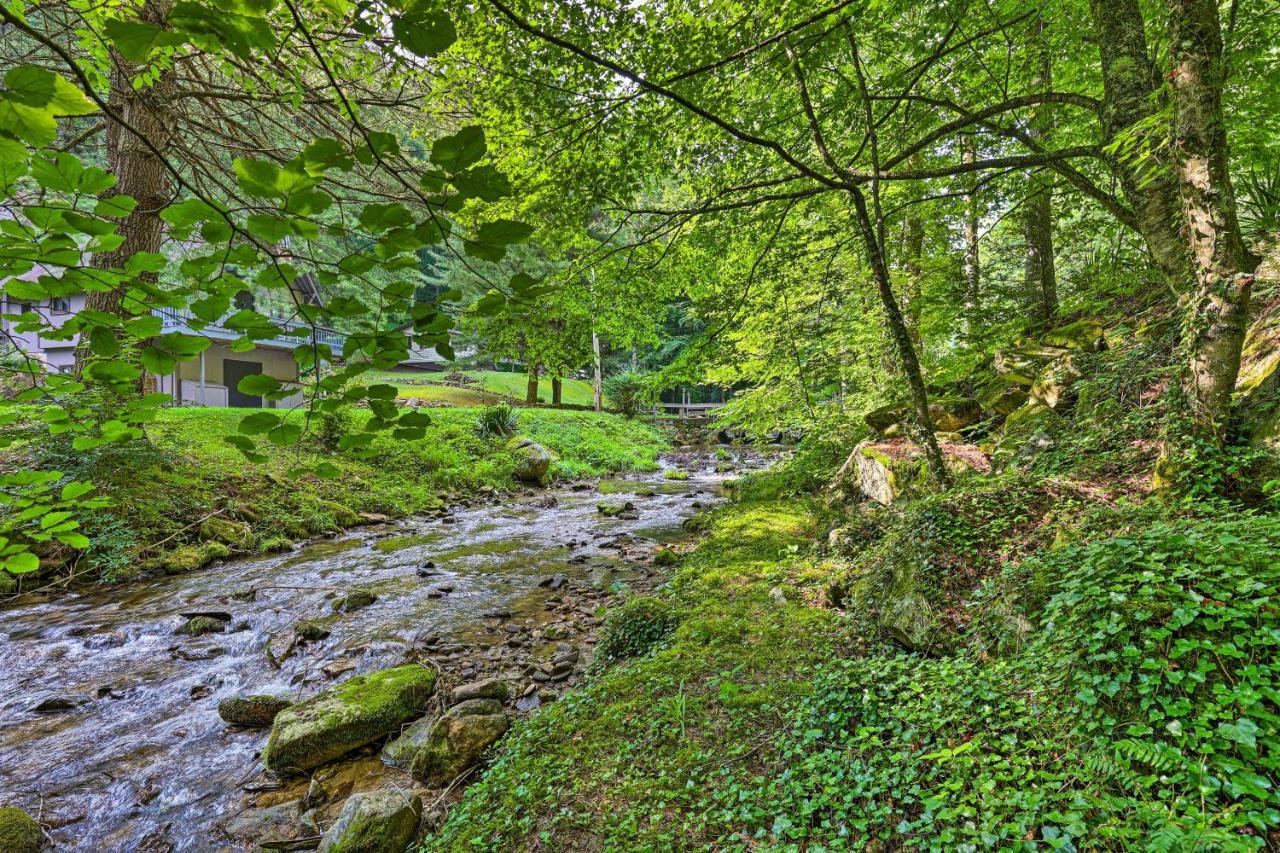 Creekside Roan Mountain Cabin Walk To Trails Екстериор снимка
